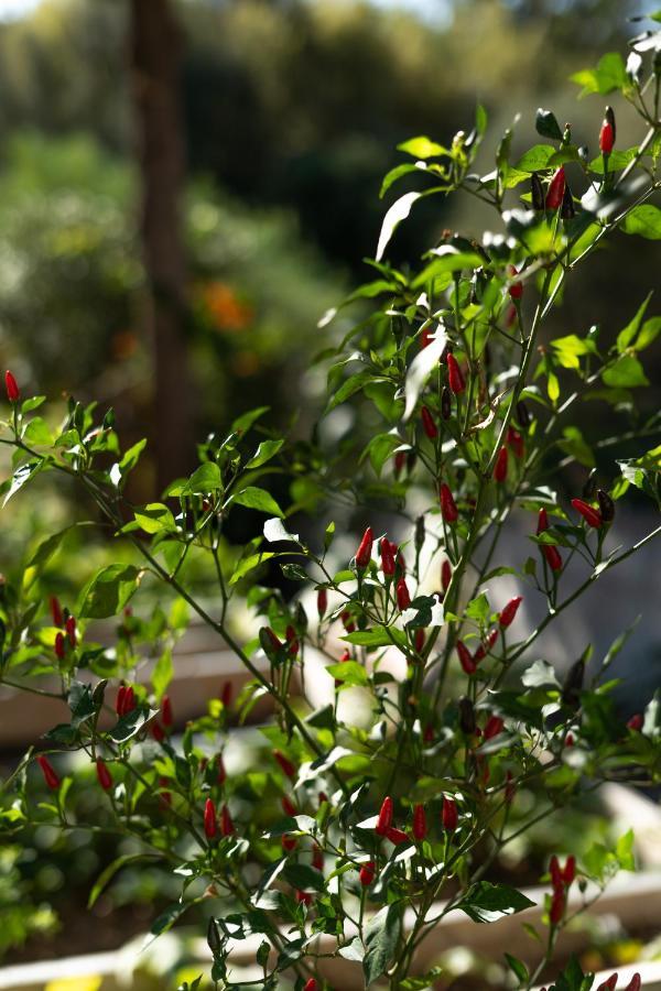 A Natural Retreat Mijas Exterior foto